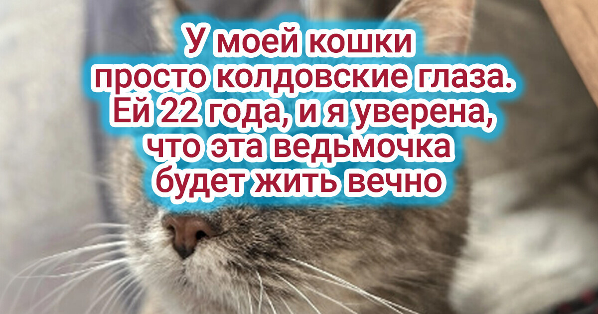 20+ животных, чья внешность доказывает, что природа – тот еще художник