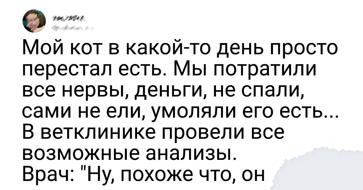20+ метких твитов от людей, которые познали всю боль и радость владения питомцем 20+ метких твитов от людей, которые познали всю боль и радость владения питомцем