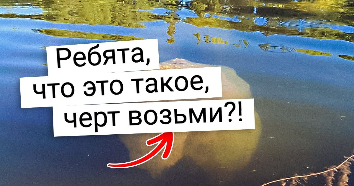 20+ фото, от которых становится не по себе. А потом хочется погуглить, что же это было 20+ фото, от которых становится не по себе. А потом хочется погуглить, что же это было