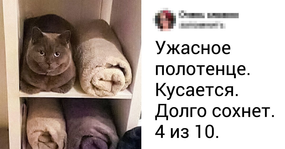 20 животных, которые выдают себя за нечто совершенно иное. И мы им почти поверили 20 животных, которые выдают себя за нечто совершенно иное. И мы им почти поверили