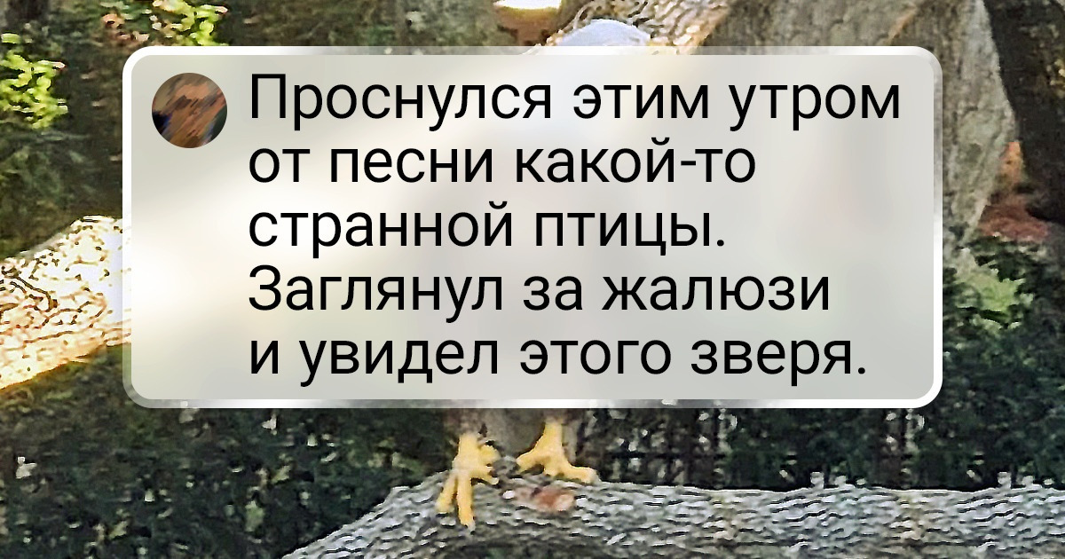 18 жизнерадостных фотографий, которые согреют даже в дождливый вечер 18 жизнерадостных фотографий, которые согреют даже в дождливый вечер