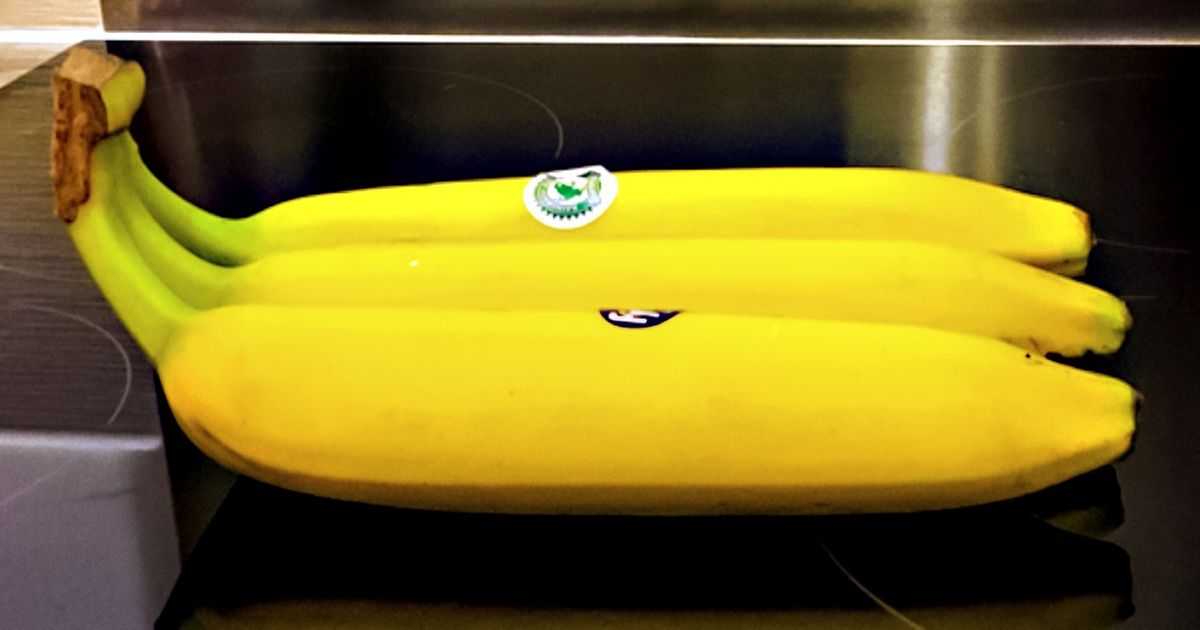 20 неожиданных находок, которые доказывают, что жизнь еще способна нас удивить 20 неожиданных находок, которые доказывают, что жизнь еще способна нас удивить