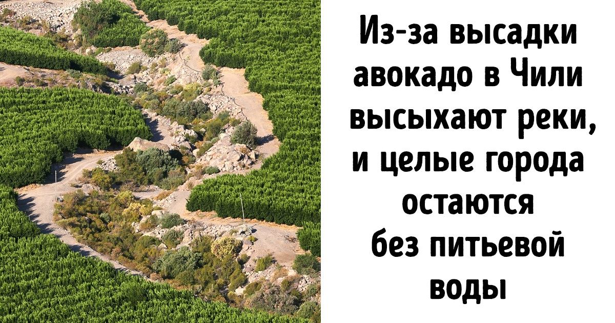 ООН предлагает нам спасти Землю, пока не поздно. Принять участие может каждый, и это не так сложно, как мы думаем ООН предлагает нам спасти Землю, пока не поздно. Принять участие может каждый, и это не так сложно, как мы думаем