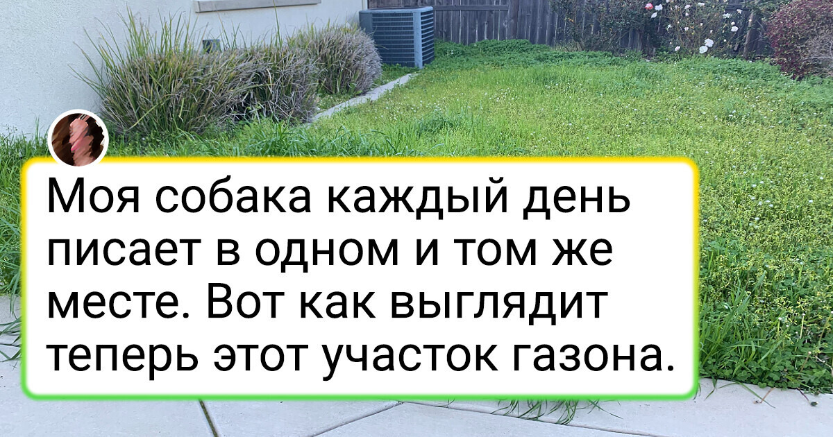20+ впечатляющих фото, которые демонстрируют могущество времени 20+ впечатляющих фото, которые демонстрируют могущество времени