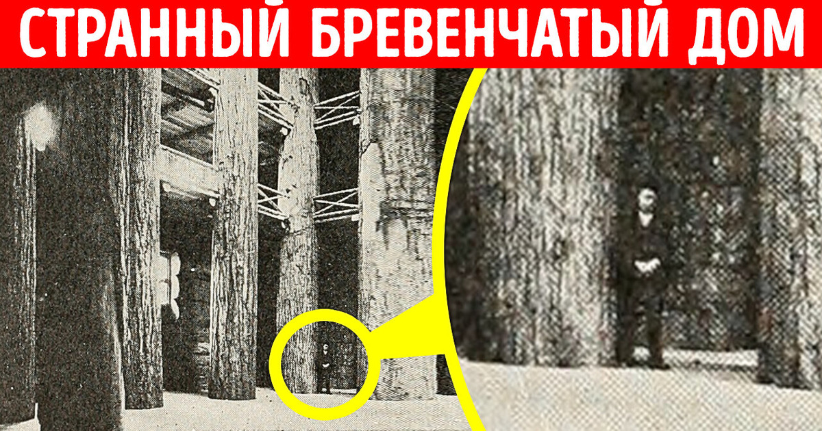 Самая большая бревенчатая хижина в мире: что с ней случилось?