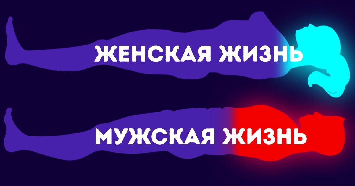 Могут всю жизнь существовать на