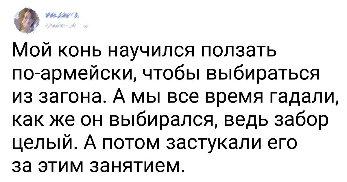 Фермеры рассказали о случаях, когда их животные удивили всех своими поступками