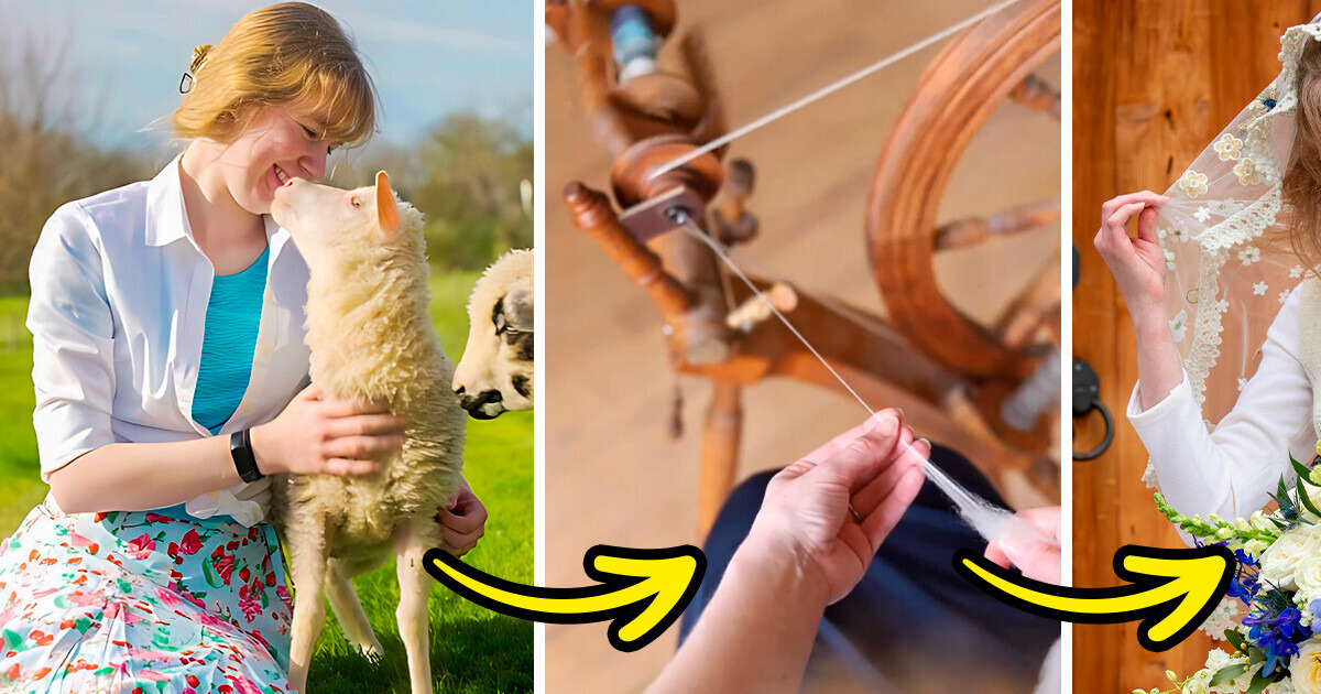 Девушка постригла овцу и сделала себе свадебное платье из овечьей шерсти. И теперь нам хочется такое же Девушка постригла овцу и сделала себе свадебное платье из овечьей шерсти. И теперь нам хочется такое же