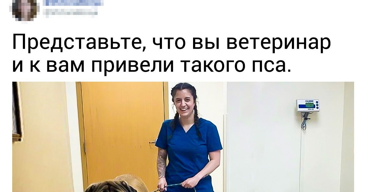 20+ фотосравнений, в которых заключена колоссальная разница привычных вещей