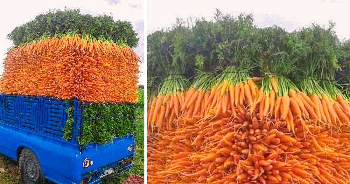 35+ умиротворяющих фото, которые заменят любую игрушку-антистресс