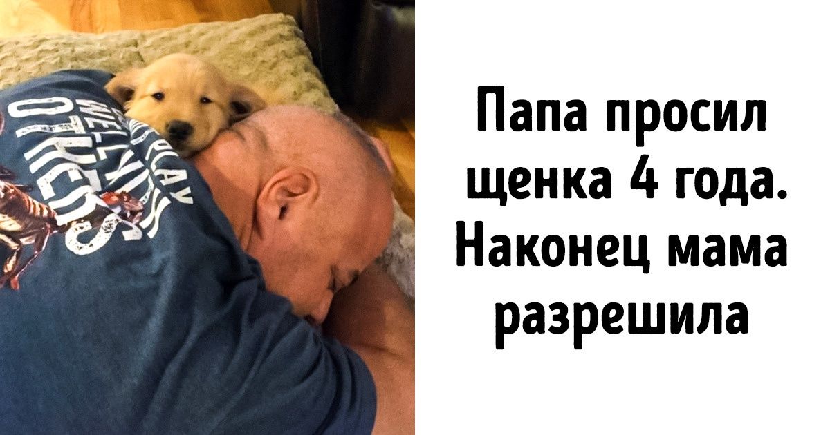 18 фото, каждое из которых — самый короткий тест на то, есть ли у вас сердце 18 фото, каждое из которых — самый короткий тест на то, есть ли у вас сердце