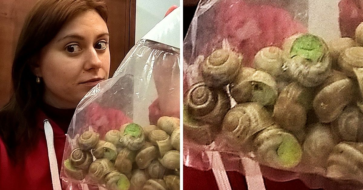 Я месяц бесплатно жила в замке во Франции, а затем сбежала оттуда и решила никогда не возвращаться Я месяц бесплатно жила в замке во Франции, а затем сбежала оттуда и решила никогда не возвращаться
