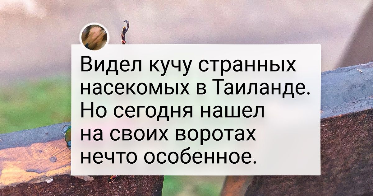 20+ фото из Таиланда, которые вряд ли появятся в рекламных буклетах 20+ фото из Таиланда, которые вряд ли появятся в рекламных буклетах