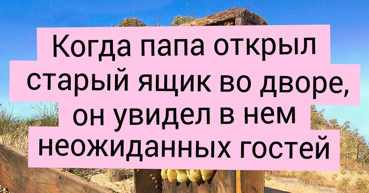 15 доказательств, что природа способна адаптироваться к самым диким условиям 15 доказательств, что природа способна адаптироваться к самым диким условиям