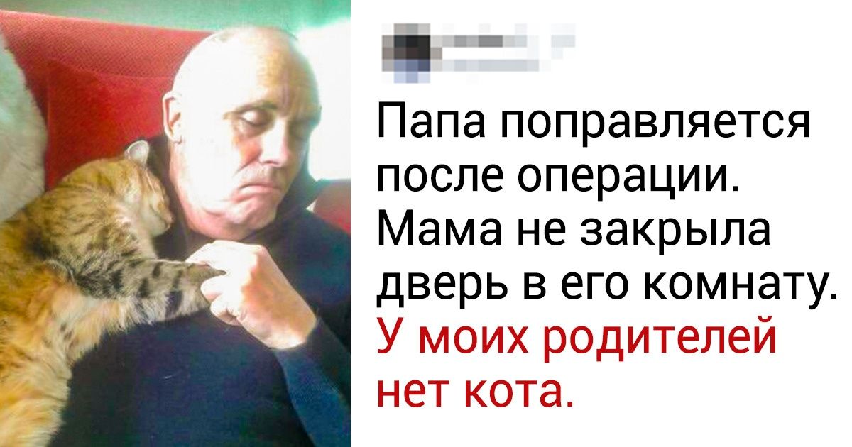 23 доказательства того, что каждой семье нужен домашний любимец 23 доказательства того, что каждой семье нужен домашний любимец