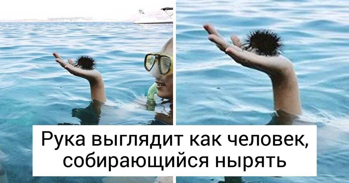 19 фото, которые становятся лучше с каждой секундой просмотра 19 фото, которые становятся лучше с каждой секундой просмотра