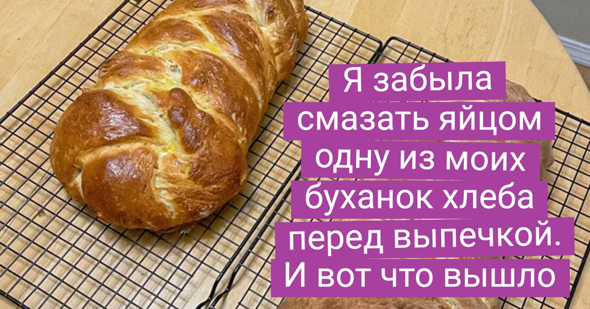 20+ счастливчиков, которым удалось узнать чуть больше о нашем мире благодаря сравнению