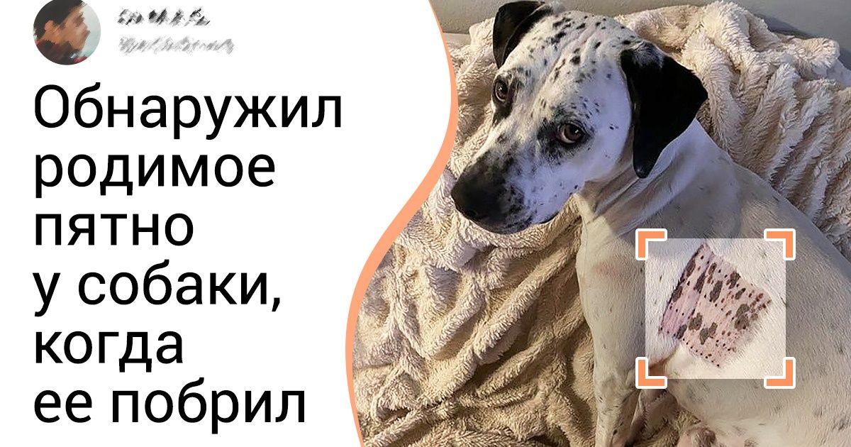 15 находок из серии «Ты только погляди, что я обнаружил» 15 находок из серии «Ты только погляди, что я обнаружил»