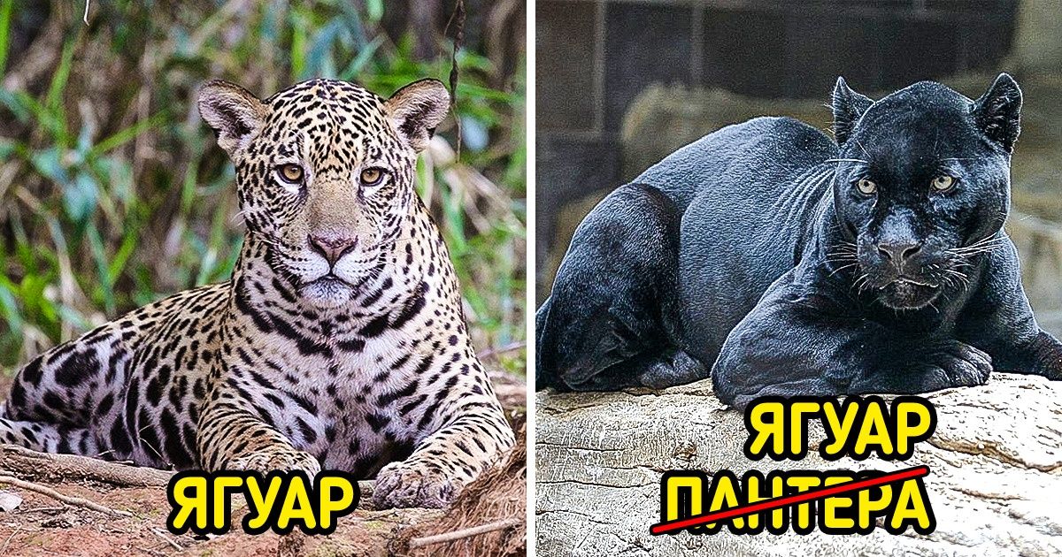 18 фотографий, которые мгновенно изменят ваше представление о нашем мире 18 фотографий, которые мгновенно изменят ваше представление о нашем мире