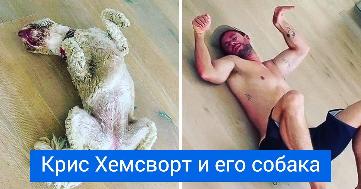 15+ знаменитостей, которые одержимы любовью к своим питомцам и совсем не скрывают этого