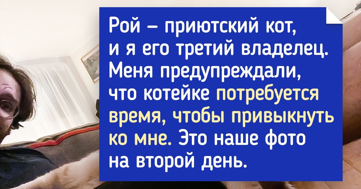 20 четвероногих, которые наполнены любовью по самые кончики своих мохнатых ушей