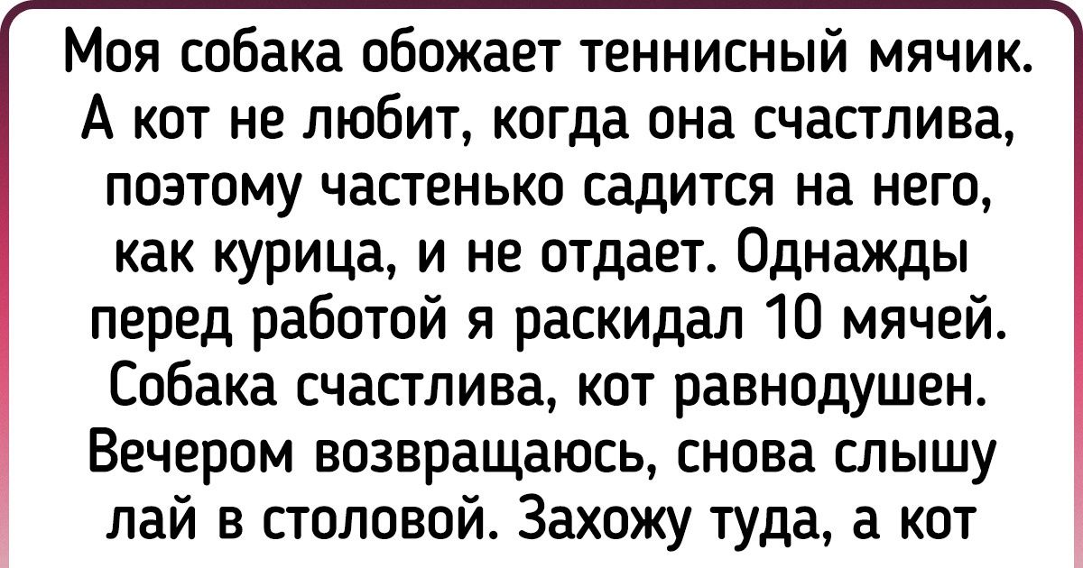 15 историй о питомцах, которые ошеломили своих хозяев развитым интеллектом 15 историй о питомцах, которые ошеломили своих хозяев развитым интеллектом