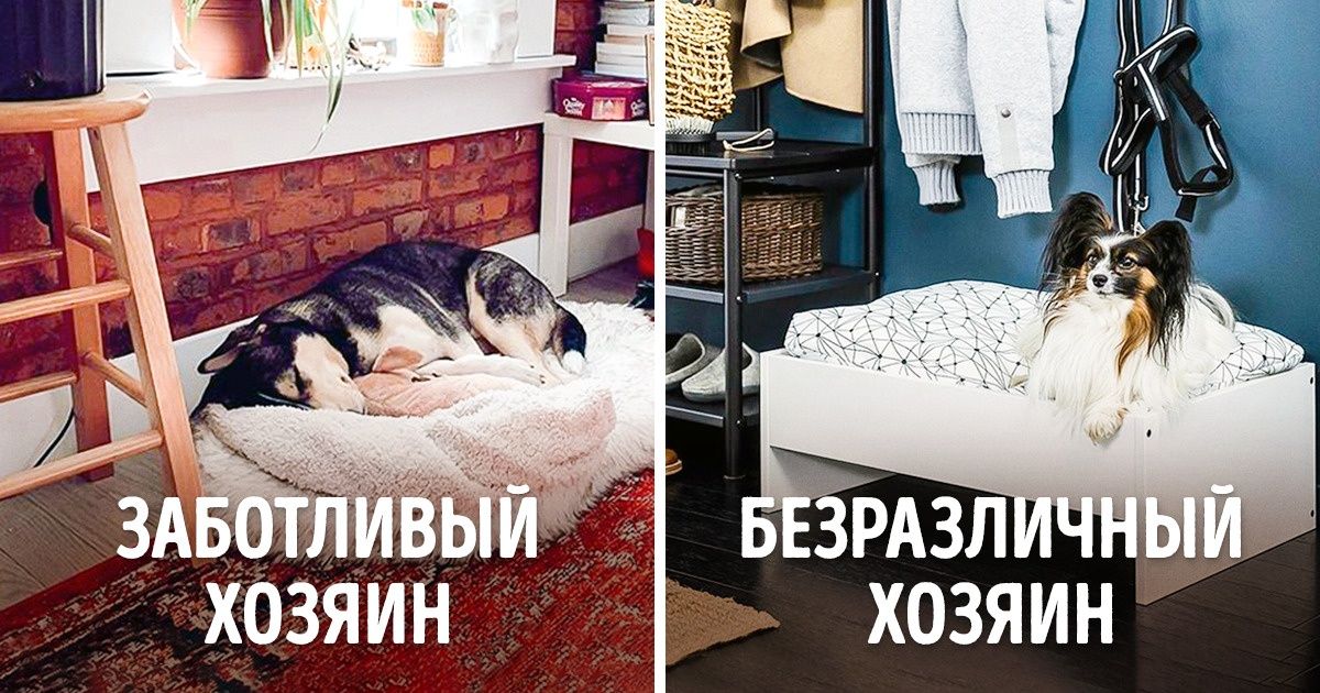 Я буду в квартире хозяином