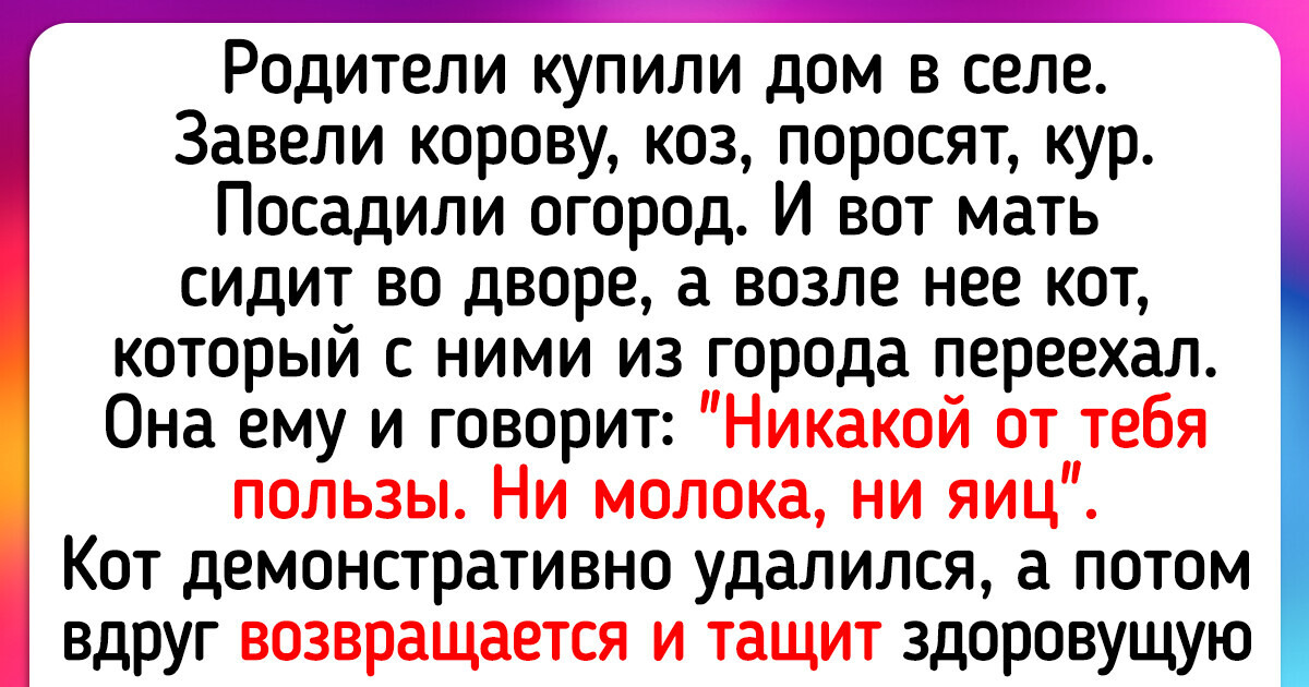 Стихи о природе родного края | «Вашкинская централизованная библиотечная система»