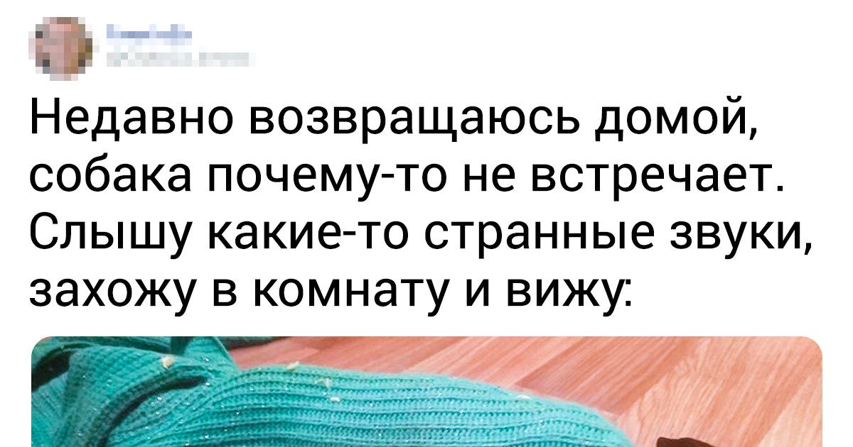 18 случаев, когда хорошие мальчики не удержались — и слегка начудили 18 случаев, когда хорошие мальчики не удержались — и слегка начудили