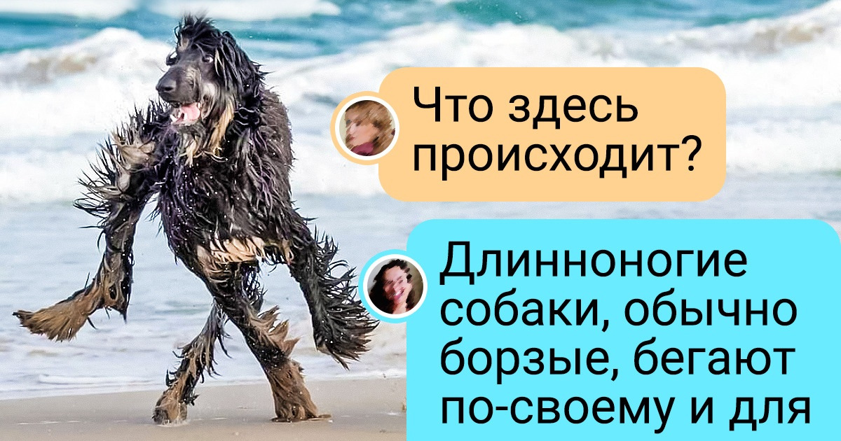 20 курьезных фото, которые обманывают зрение не хуже магических пассов фокусника 20 курьезных фото, которые обманывают зрение не хуже магических пассов фокусника