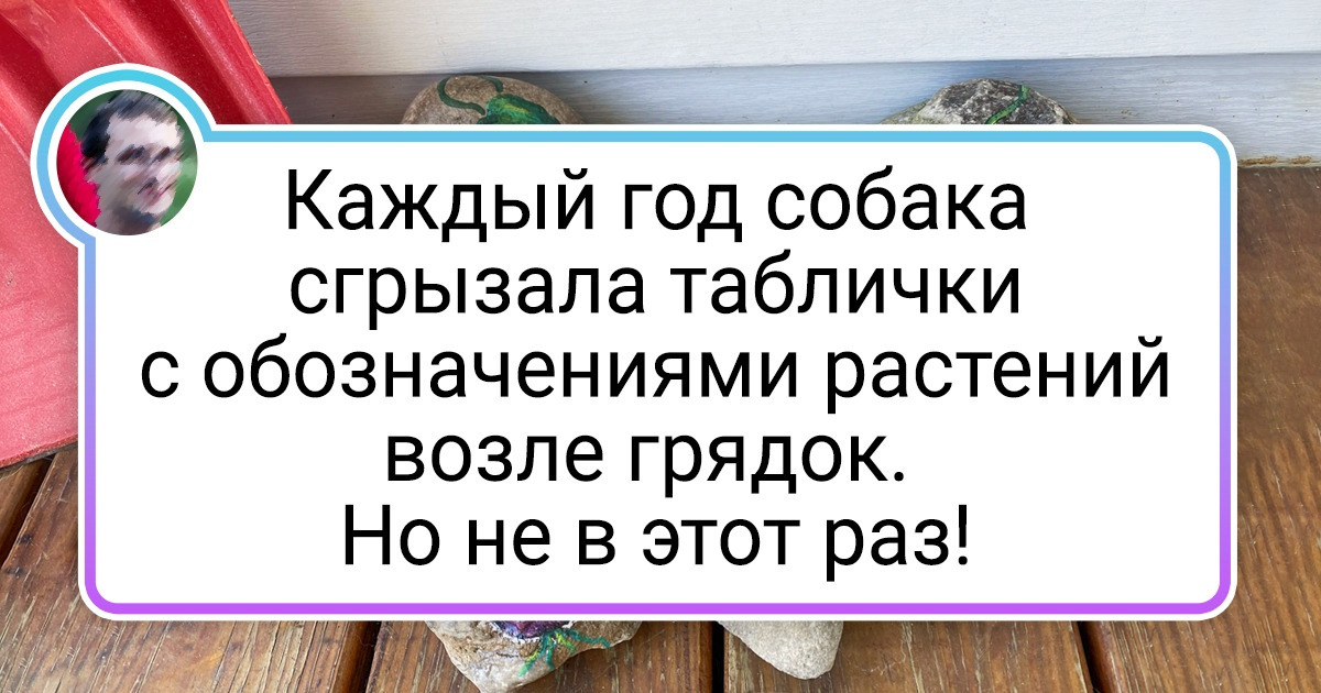 20 человек, которые изворотливостью и смекалкой выбивают у жизни все самое лучшее 20 человек, которые изворотливостью и смекалкой выбивают у жизни все самое лучшее