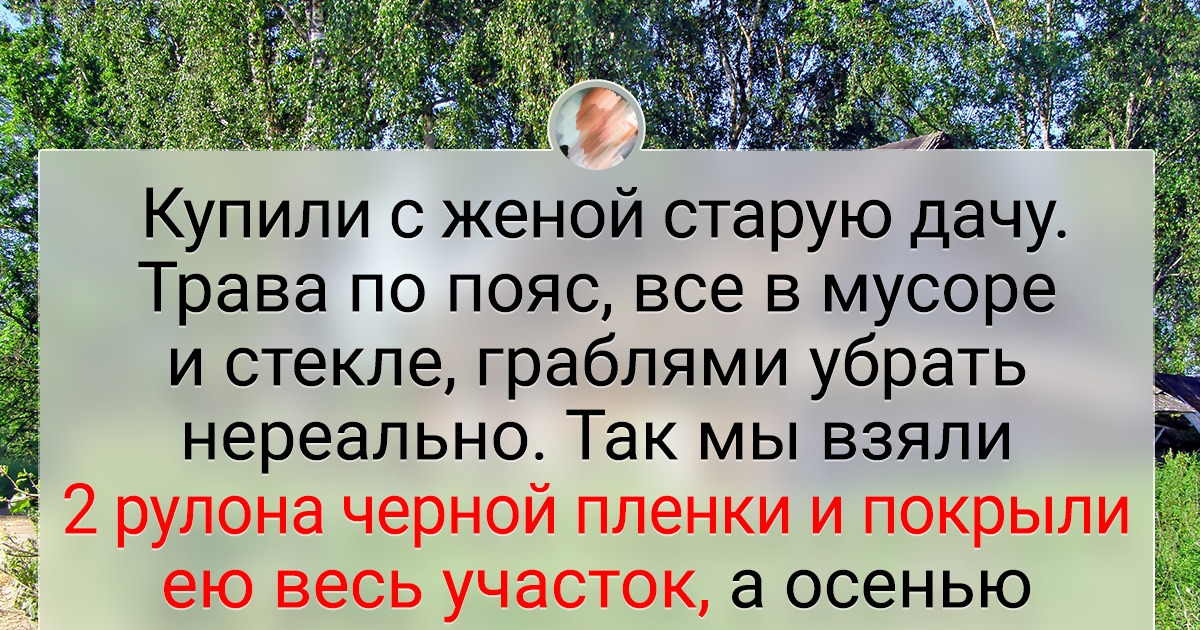 Как законно стать владельцем заброшенной дачи