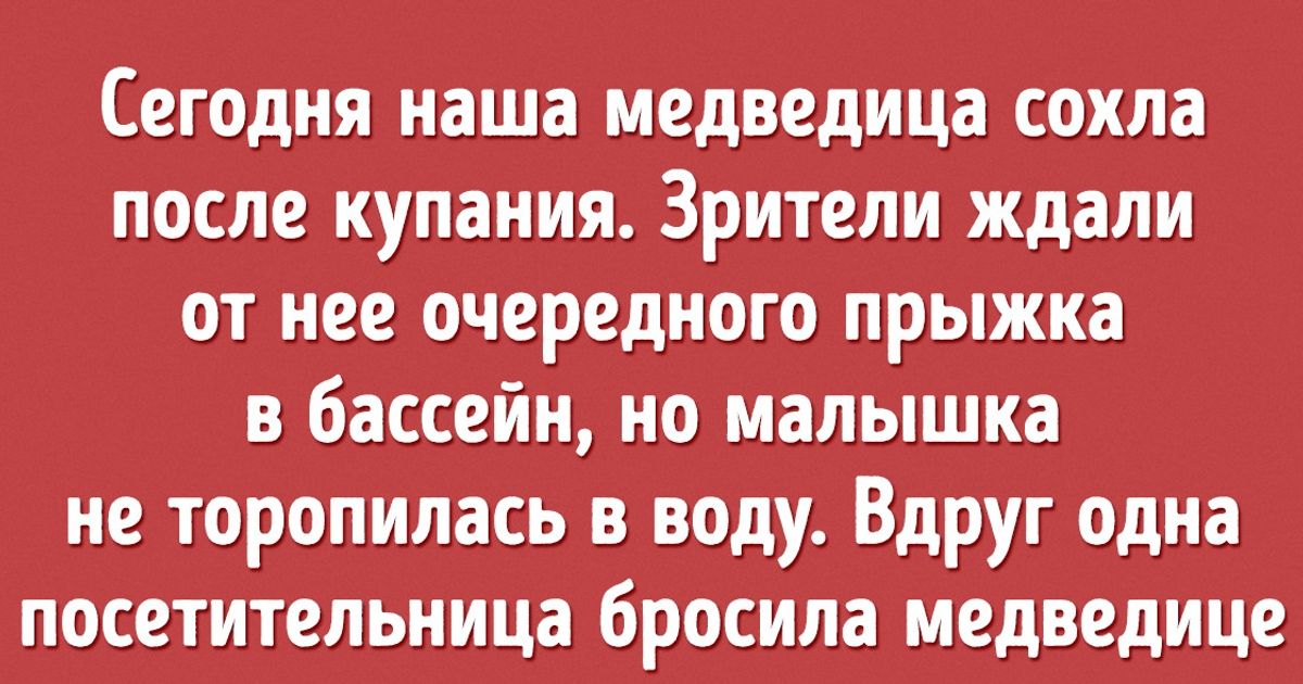 У сотрудников Ленинградского зоопарка накипело, и они опубликовали отрезвляющий пост для любителей понаблюдать за зверюшками У сотрудников Ленинградского зоопарка накипело, и они опубликовали отрезвляющий пост для любителей понаблюдать за зверюшками