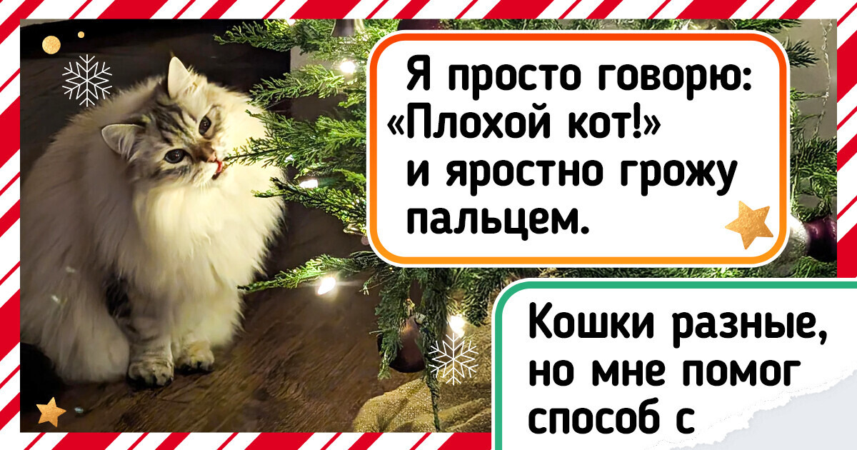 20+ очень разных советов о том, как спасти новогоднюю елку от котов (и смешные фото, конечно) 20+ очень разных советов о том, как спасти новогоднюю елку от котов (и смешные фото, конечно)