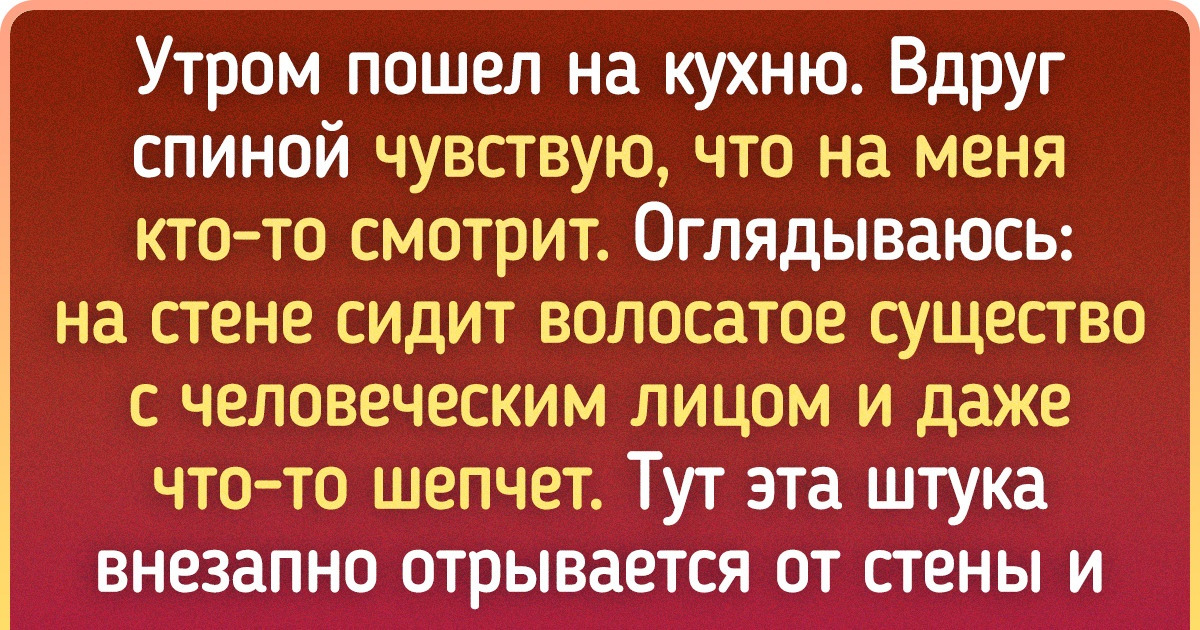 16 человек чуть не поседели из-за встречи с потусторонним, но тут логичное объяснение пришло откуда не ждали