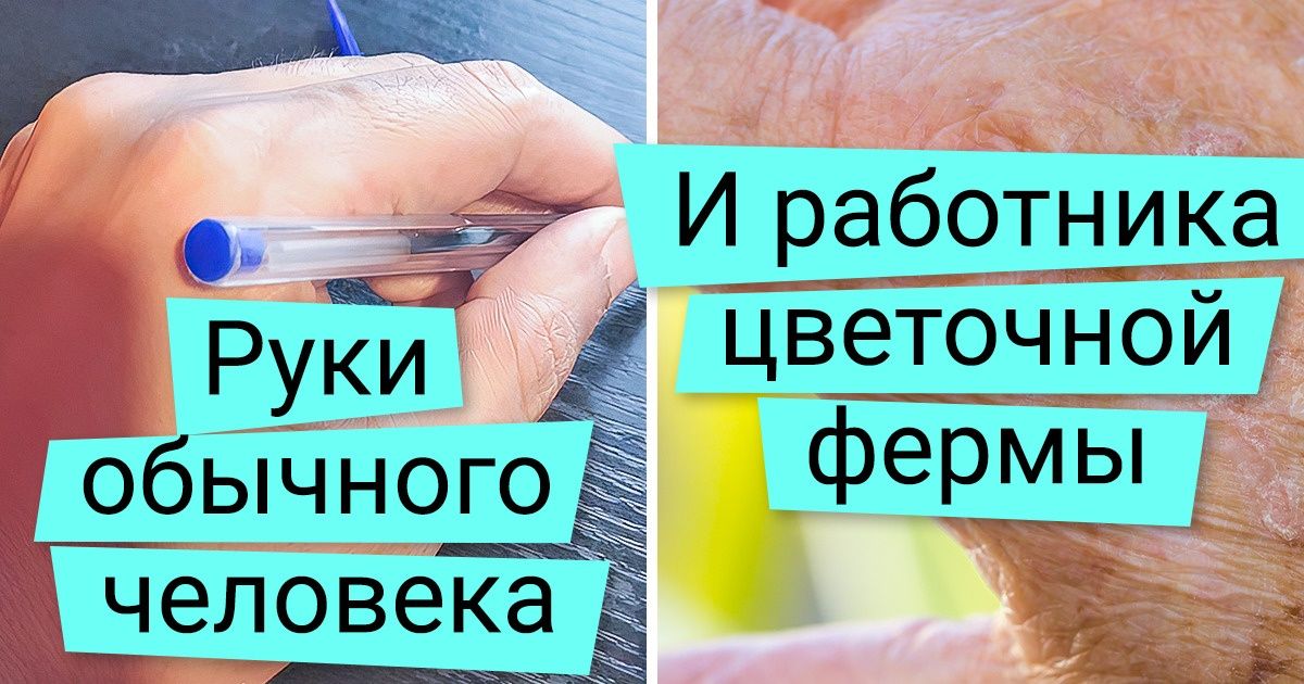 Почему я отказалась от букетов цветов в своей жизни и что отбило желание их получать Почему я отказалась от букетов цветов в своей жизни и что отбило желание их получать