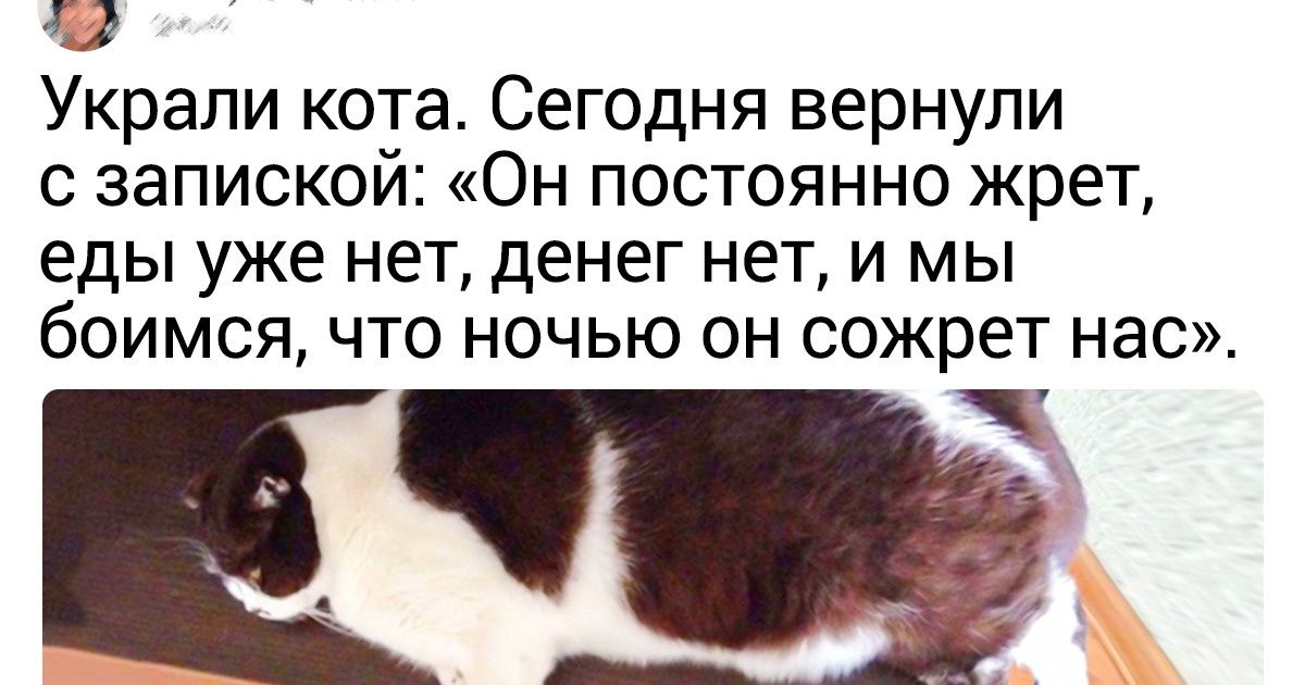 20 питомцев, справиться с буйным нравом которых под силу только их хозяевам 20 питомцев, справиться с буйным нравом которых под силу только их хозяевам