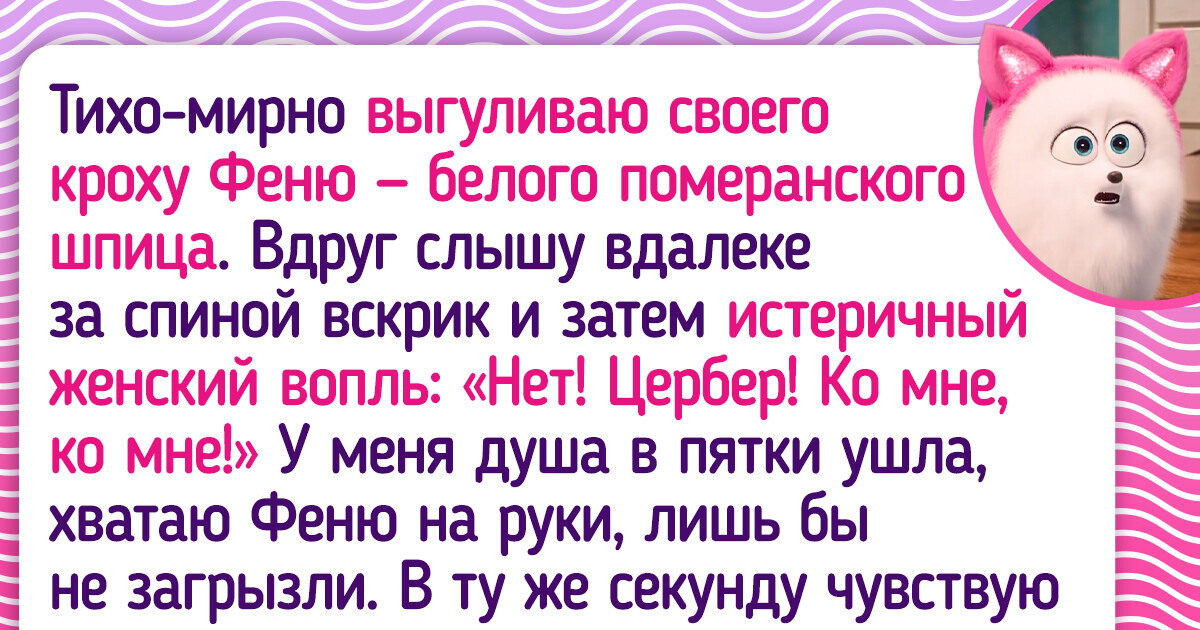 15+ человек, которые своими кличками для питомцев весь двор поставили на уши 15+ человек, которые своими кличками для питомцев весь двор поставили на уши