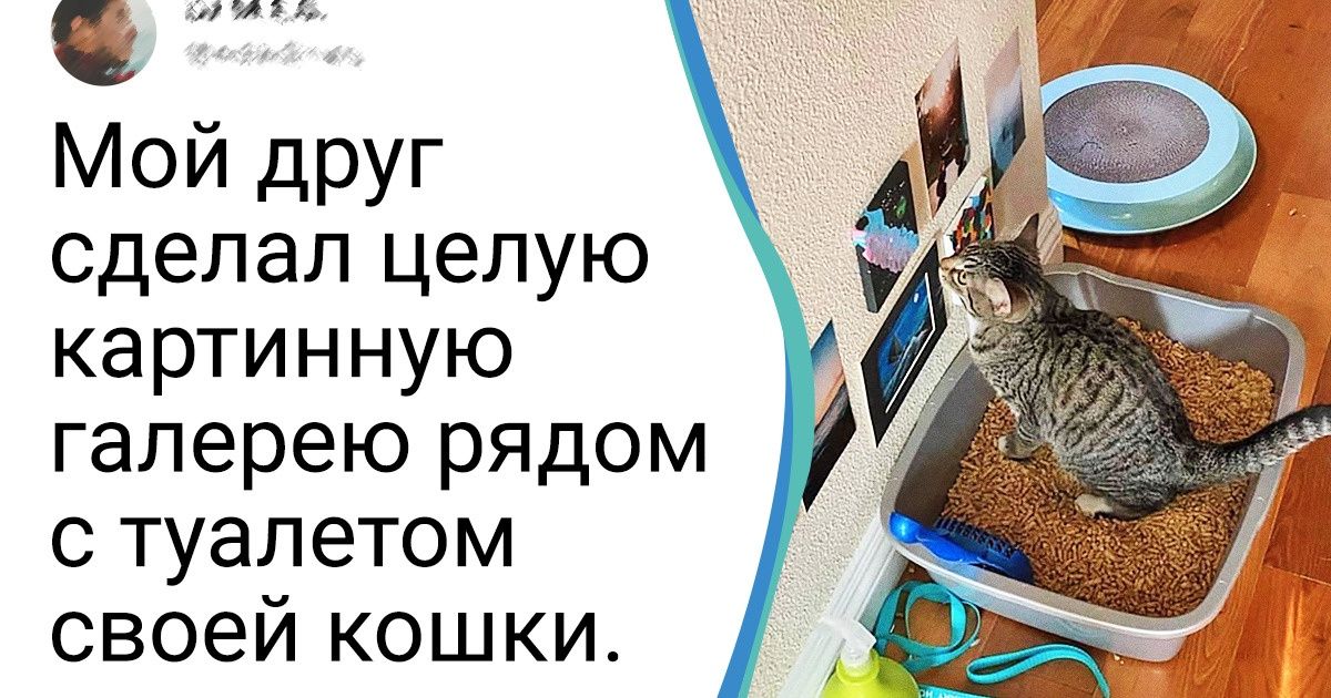 15+ человек, которые готовы со своих питомцев пылинки сдувать