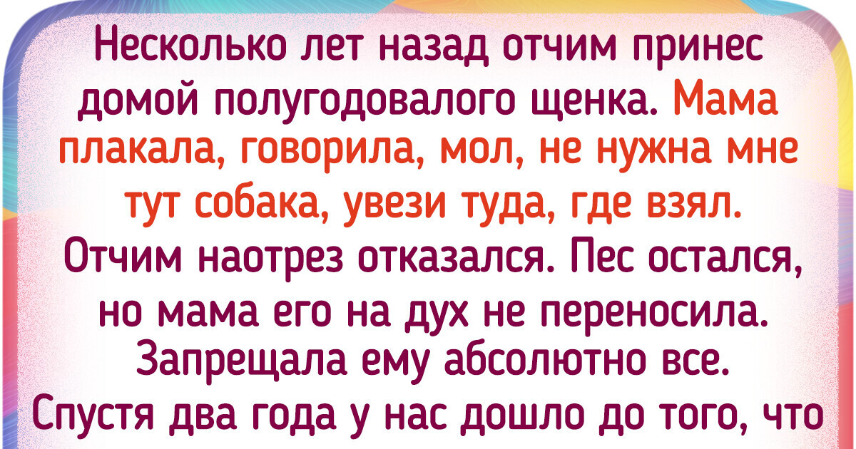 20+ питомцев, которые сумели очаровать даже тех, кто был против их появления 20+ питомцев, которые сумели очаровать даже тех, кто был против их появления