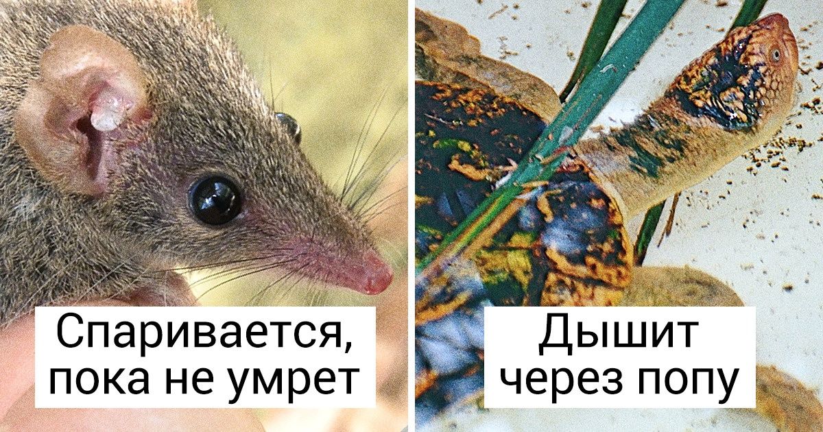 16 неожиданных фактов, которые поставят на уши все ваши представления о мире 16 неожиданных фактов, которые поставят на уши все ваши представления о мире