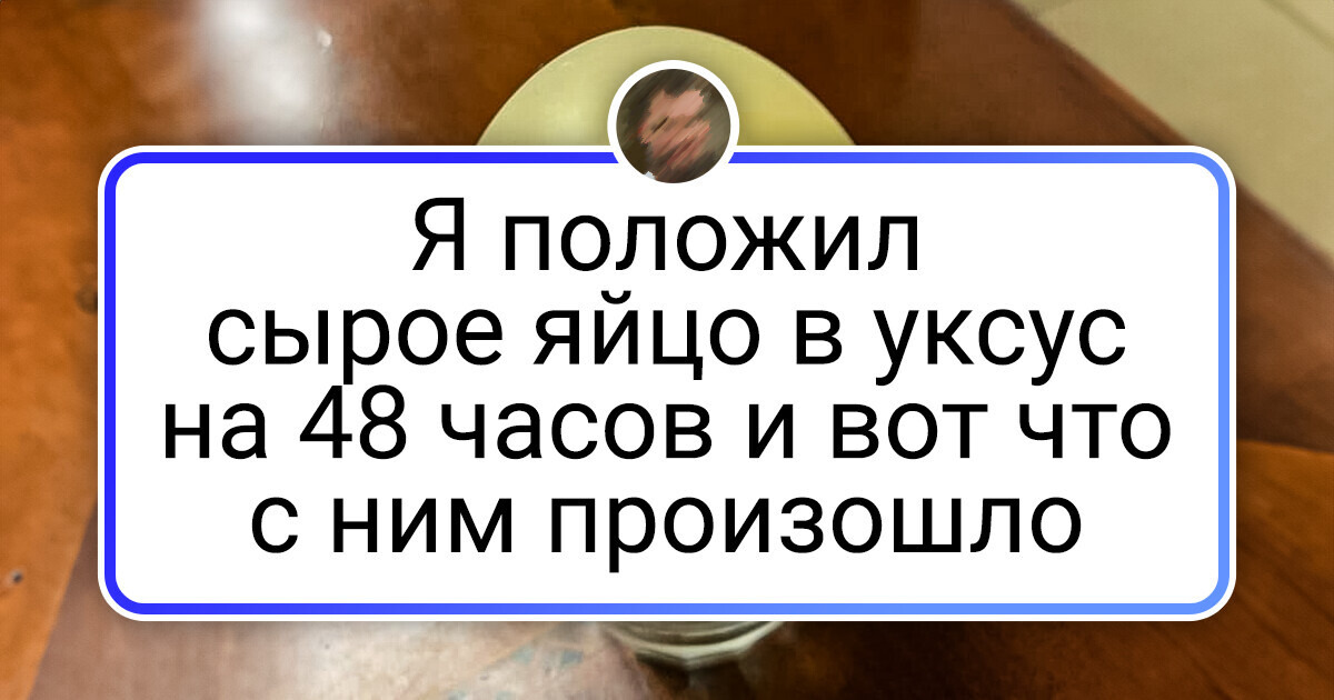 15+ фото, которые в миг ответят на вопрос «что будет, если?..» 15+ фото, которые в миг ответят на вопрос «что будет, если?..»