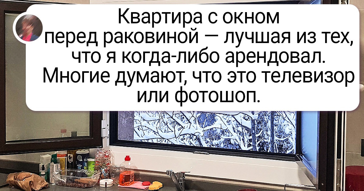 20+ человек поделились диковинными кадрами, при виде которых остается только завистливо присвистывать 20+ человек поделились диковинными кадрами, при виде которых остается только завистливо присвистывать