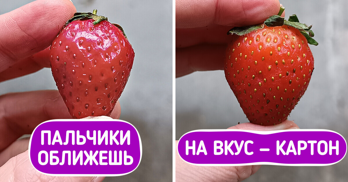 10 маленьких хитростей, которые помогают определить качество продуктов как по щелчку пальцев