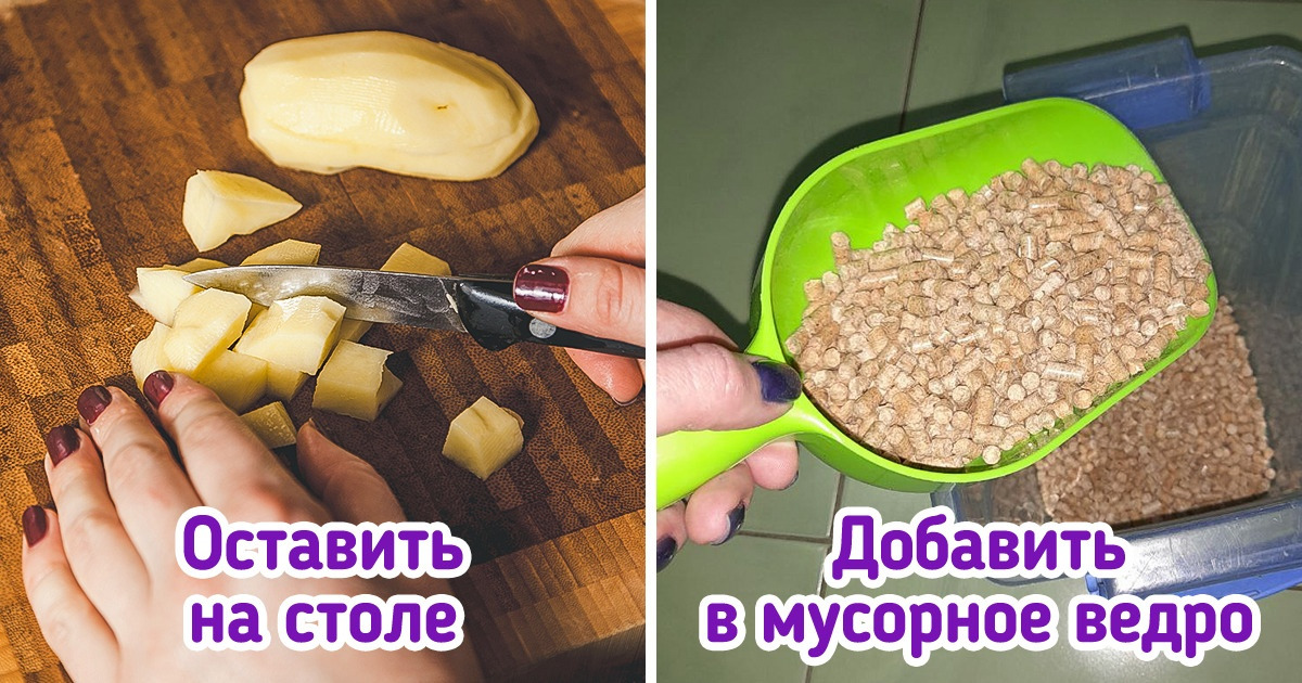 10+ секретов тех самых хозяек, к которым как ни зайдешь, а кухня у них всегда блестит и благоухает 10+ секретов тех самых хозяек, к которым как ни зайдешь, а кухня у них всегда блестит и благоухает