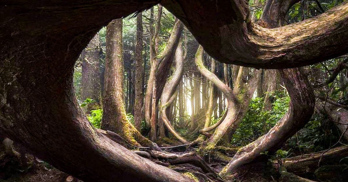 20 лучших работ международного конкурса пейзажной фотографии, глядя на которые хочешь бросить все и отправиться в путешествие 20 лучших работ международного конкурса пейзажной фотографии, глядя на которые хочешь бросить все и отправиться в путешествие