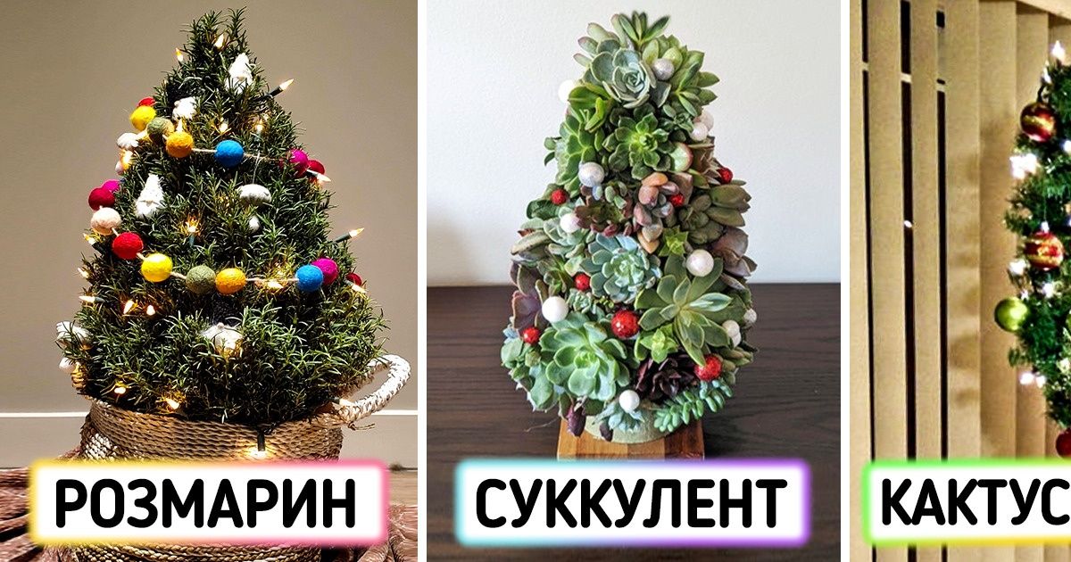 12 растений, которые легко подвинут привычную елку с места главного новогоднего символа в доме 12 растений, которые легко подвинут привычную елку с места главного новогоднего символа в доме