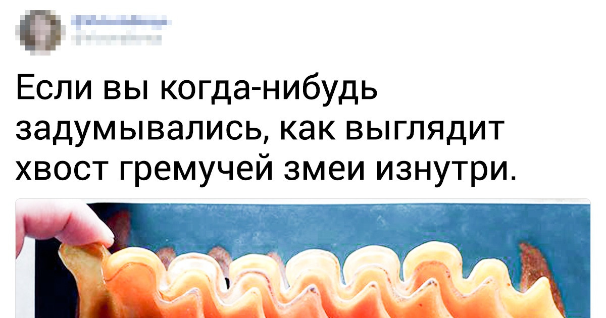 10+ доказательств того, что некоторые вещи изнутри выглядят круче, чем снаружи 10+ доказательств того, что некоторые вещи изнутри выглядят круче, чем снаружи