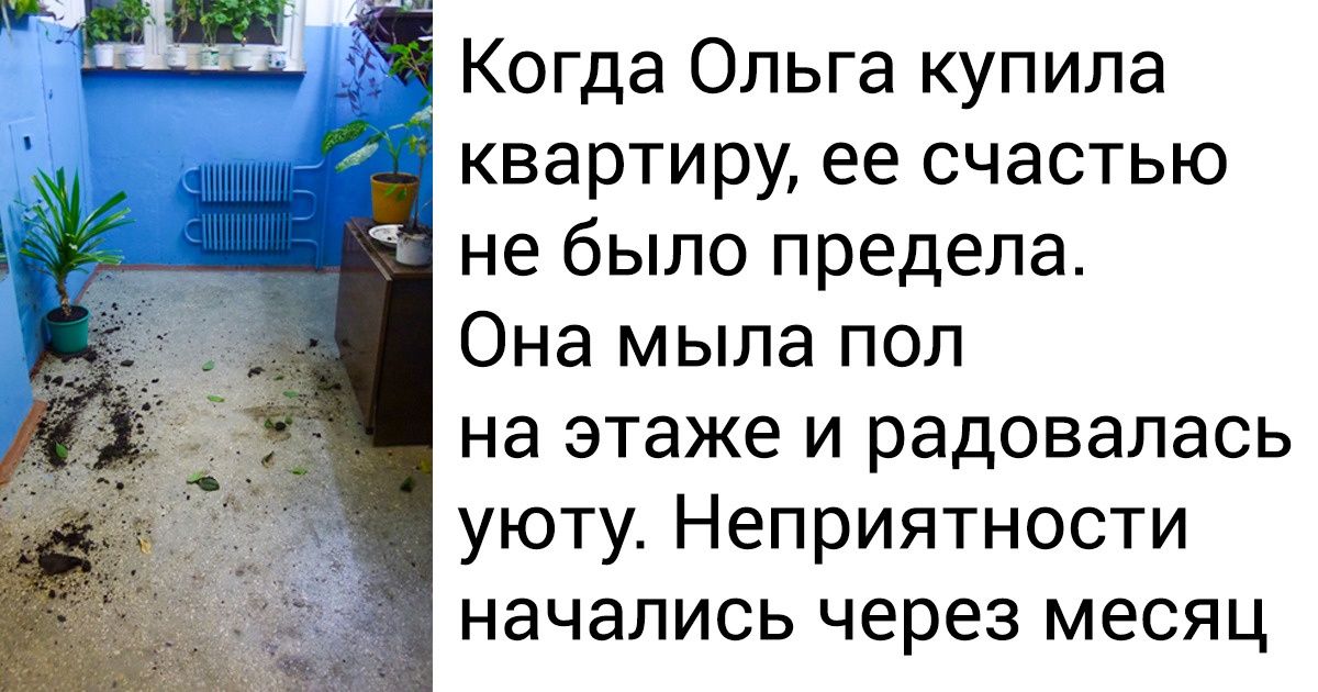 «Импровизация», или Как со вкусом и без скандалов проучить даже худших соседей в мире «Импровизация», или Как со вкусом и без скандалов проучить даже худших соседей в мире