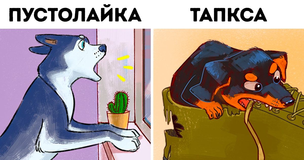 12 новых пород собак, которые придумали хозяева, а не заводчики